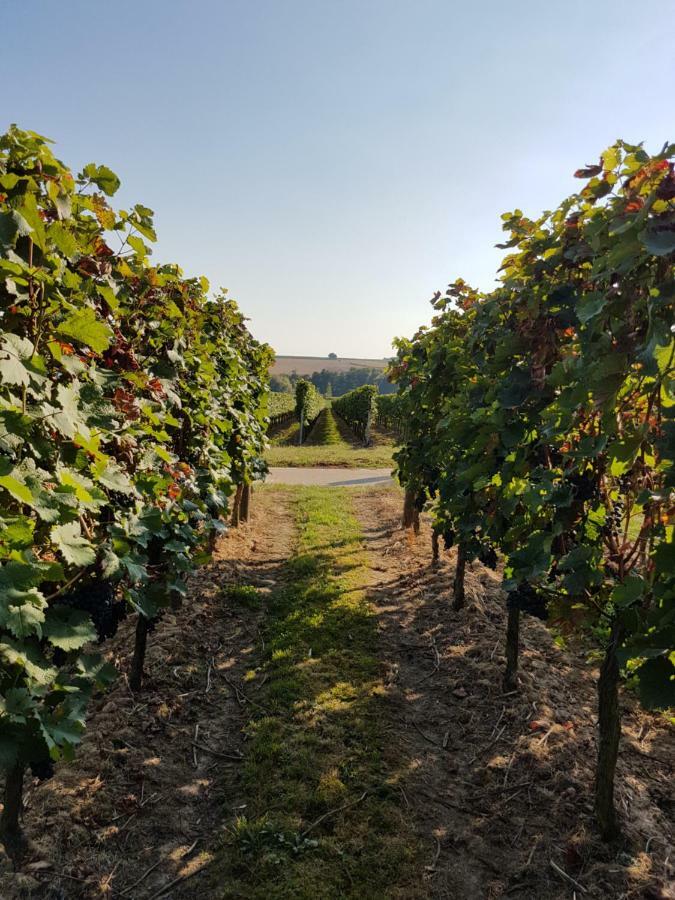 Weingut & Gaestehaus Nagel Kapellen-Drusweiler Buitenkant foto