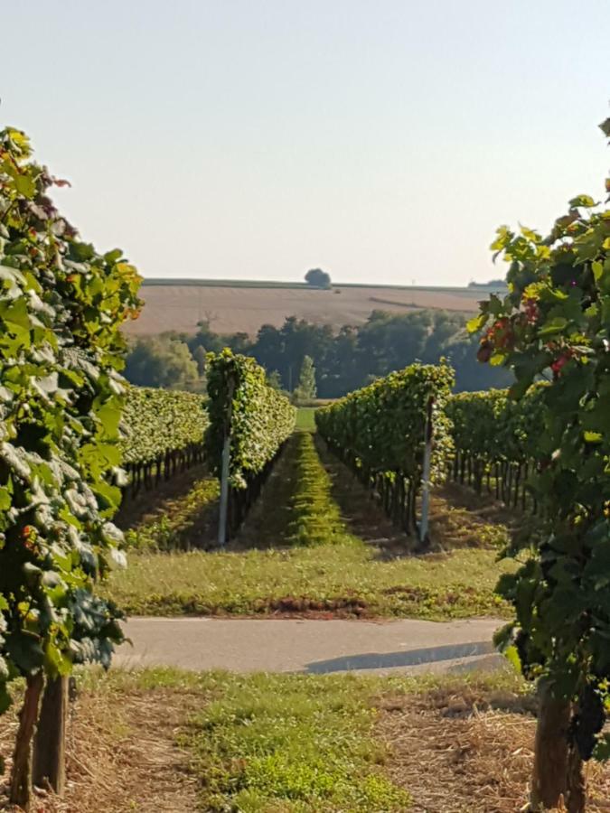 Weingut & Gaestehaus Nagel Kapellen-Drusweiler Buitenkant foto